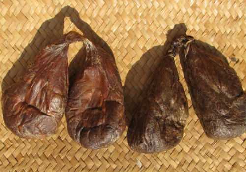 бобровая струя