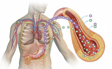 Излечение организма от диабета