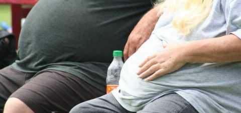 Излишние жировые отложения у мужчин и женщин наносят ущерб здоровью Излишние жировые отложения у мужчин и женщин наносят ущерб здоровью