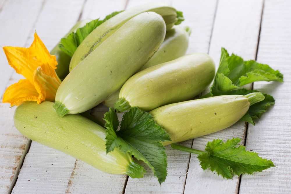 Польза кабачков при диабете