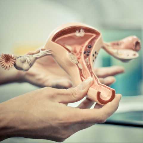 Как часто нужно посещать доктора. Как часто нужно посещать доктора.