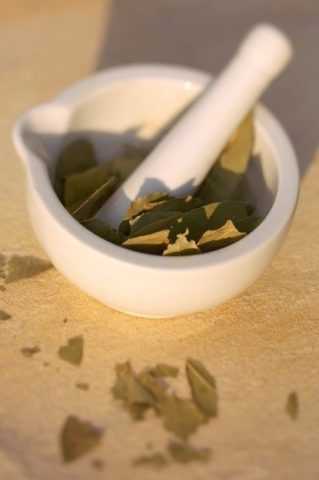 Как готовить масло лавра.