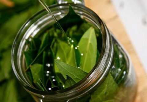 Как готовить отвар.