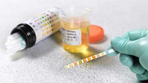 Как проходит испытание в домашних условиях.