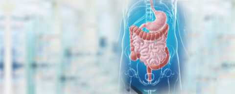 Как проходит лечение. Как проходит лечение.