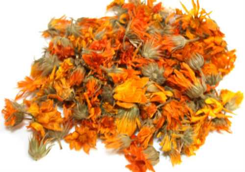 цветки календулы