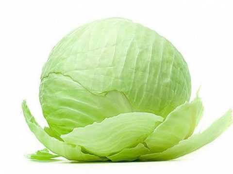 Капуста белокочанная