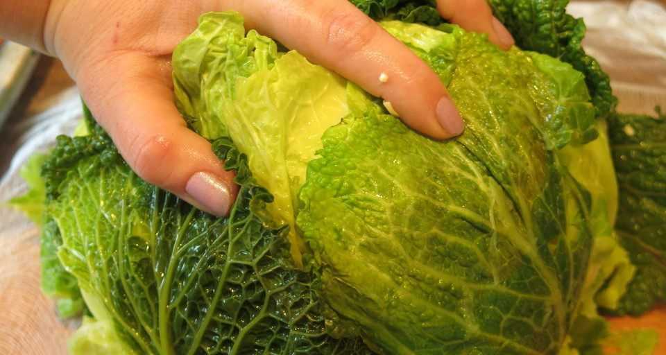 Как правильно выбрать