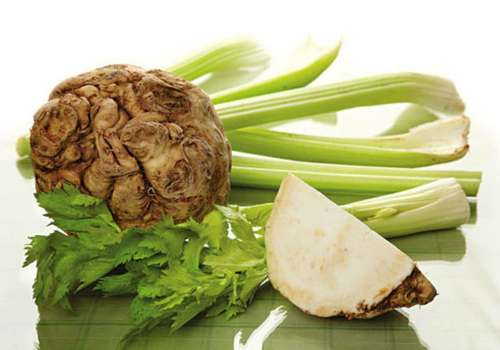 корень сельдерея