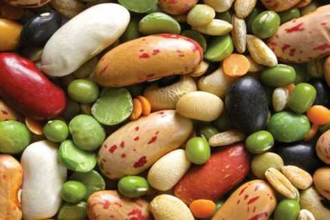 Козлятник, обыкновенная фасоль (плоды), горох (плоды). Козлятник, обыкновенная фасоль (плоды), горох (плоды).