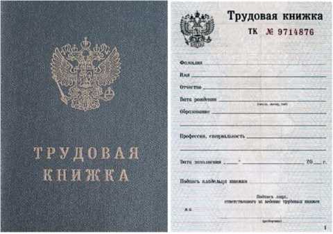 Ксерокопия трудовой