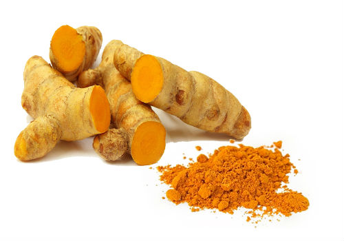 корень растения и приправа