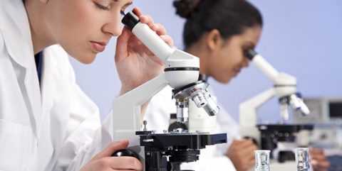 Лабораторные исследования – самый точный способ обнаружения глюкозы в моче Лабораторные исследования – самый точный способ обнаружения глюкозы в моче