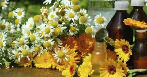 Лечебные травы для ванночек и эфирные масла Лечебные травы для ванночек и эфирные масла