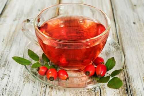 Отвар шиповника