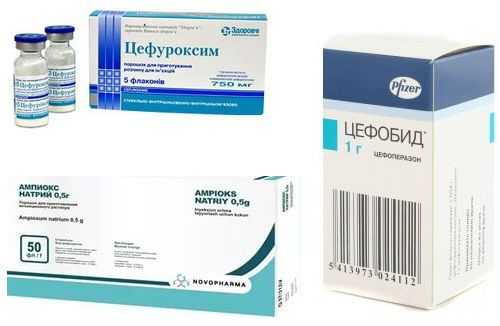 Антибиотики