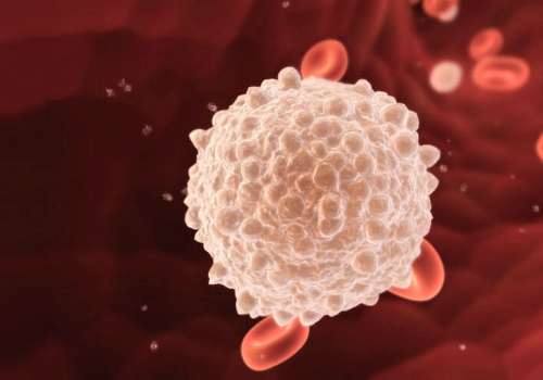 лейкопения в крови