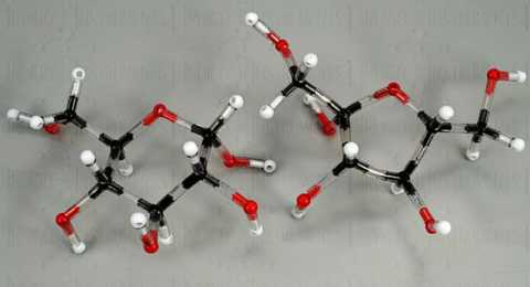 Молекулы αd-глюкозы и фруктового сахара Молекулы αd-глюкозы и фруктового сахара