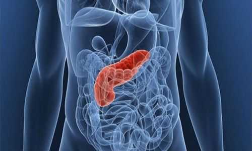 Расположение железы в организме