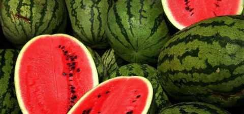 Мякоть южной ягоды богата полезными микроэлементами и важными витаминами. Мякоть южной ягоды богата полезными микроэлементами и важными витаминами.