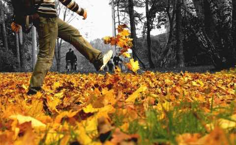 На пользу пойдут прогулки на свежем воздухе. На пользу пойдут прогулки на свежем воздухе.
