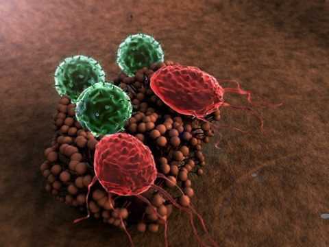 Нарушение функции лейкоцитов.