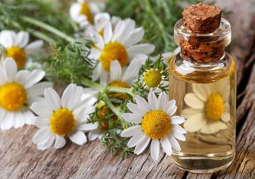 ромашковый настой