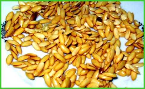 Очистить организм и наладить обменные процессы поможет напиток из семечек дыни.