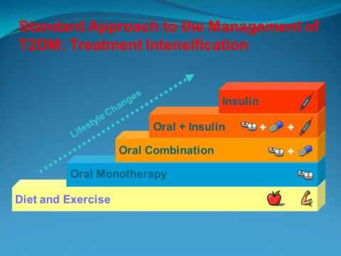 Основа в подходе к пациенту с сахарным диабетом второго типа.