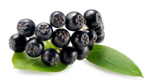 Особенности применения рябины при сахарном диабете как I, так и II типа пациентами разного возраста