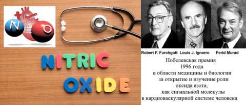 Открытие «молекулы жизни» вызвало шквал дальнейших лабораторных исследований по всему миру Открытие «молекулы жизни» вызвало шквал дальнейших лабораторных исследований по всему миру