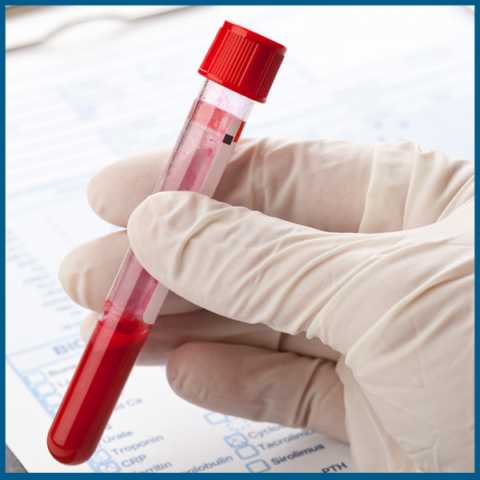 Отобранный материал Отобранный материал