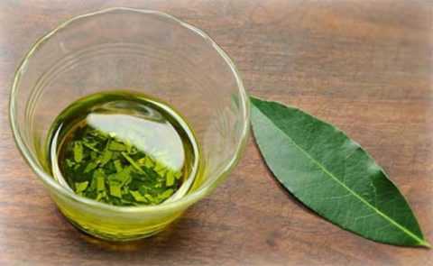 Отвар лавра поможет справиться с выпадением волос при диабете.