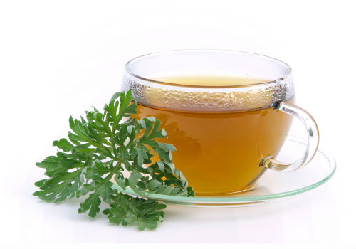 отвар полыни