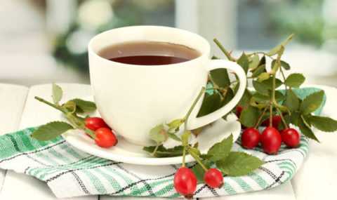 Отвар шиповника