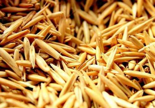 неочищенный овес