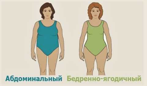 Ожирение по абдоминальному типу – причина развития резистентности к инсулиновому гормону Ожирение по абдоминальному типу – причина развития резистентности к инсулиновому гормону