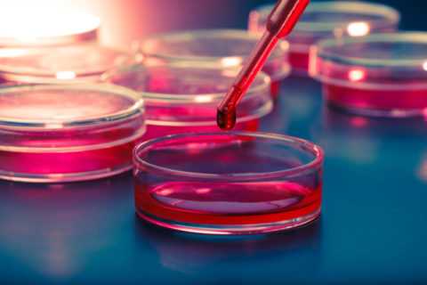 Печеночная проба