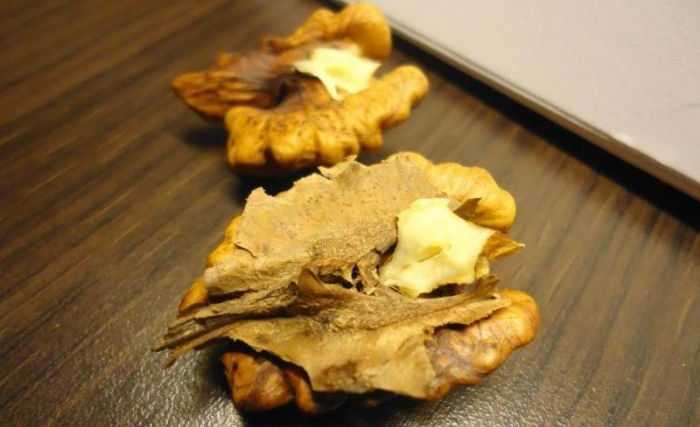 Состав перегородок грецких орехов