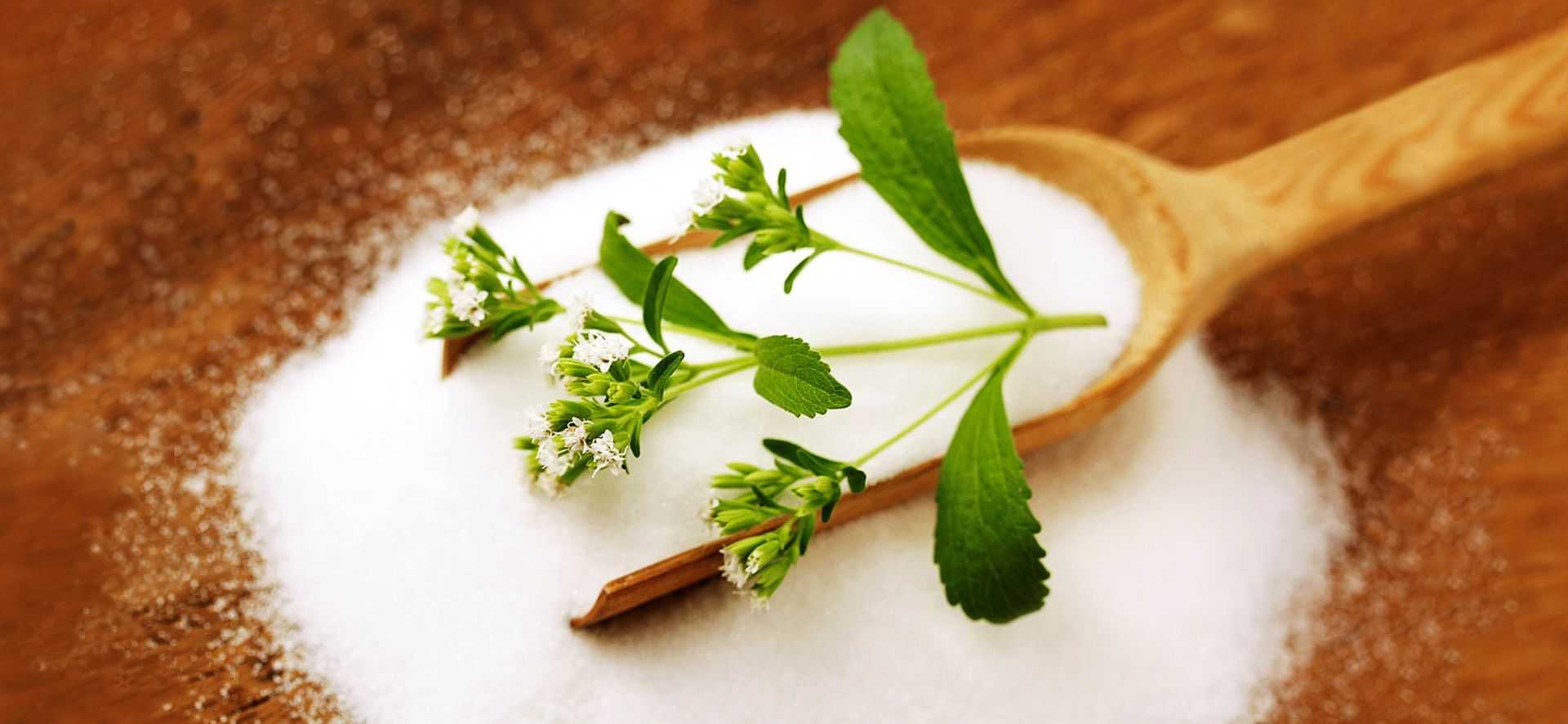 Как правильно выбрать