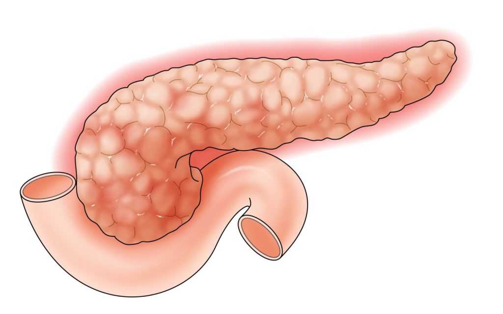 участки поджелудочной железы
