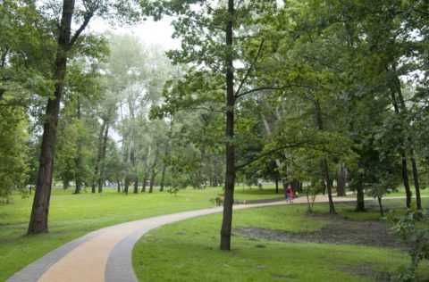 Пользу принесут пешие прогулки.