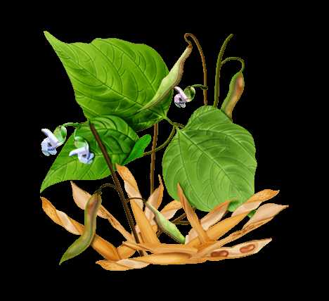 Помощник при диабетическом недуге