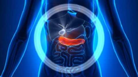 Прибор – успешное сочетание главных функций.