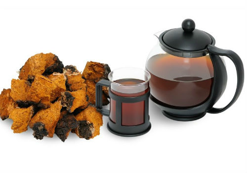 настойка сделанная из гриба