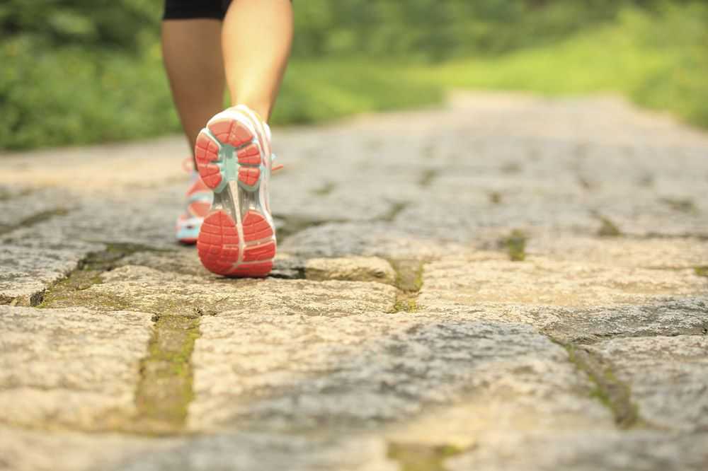 Профилактика и рекомендации