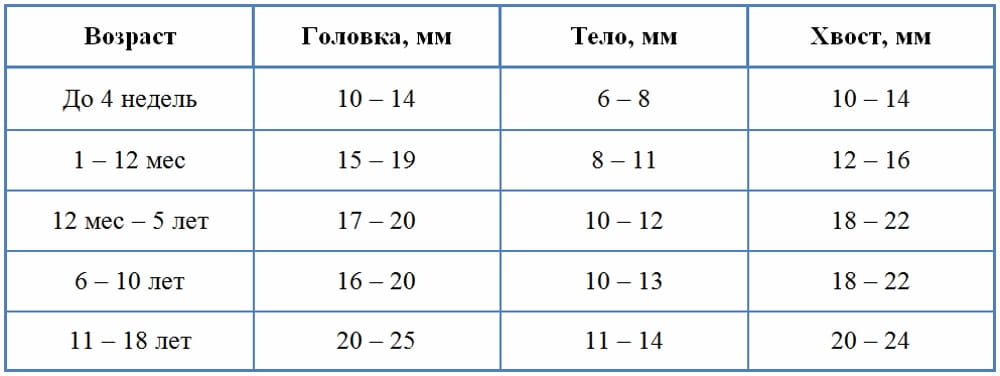 Таблица: зависимость размера поджелудочной ребёнка от возраста