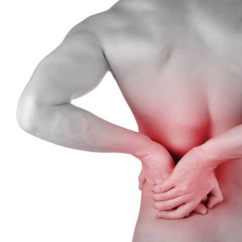 Развитие почечной недостаточности Развитие почечной недостаточности