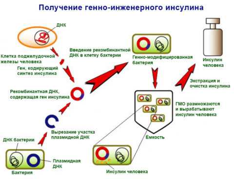 Рекомбинантный инсулин