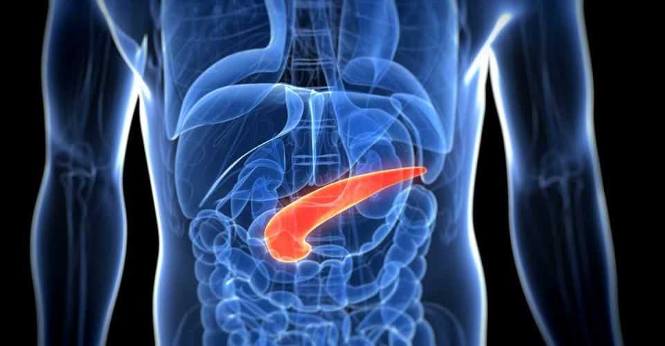 Диагностика